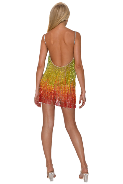 Iris Technicolor Dress